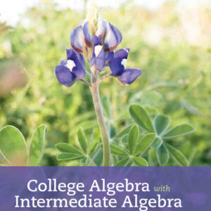 College Algebra with Intermediate Algebra: A Blended Course, 1st Edition