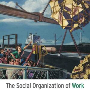 The Social Organization of Work 5th Edition
