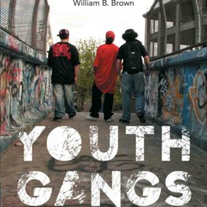 Youth Gangs in American Society 4th Edition